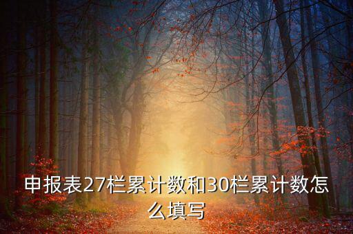 什么是期初未繳稅額，申報表27欄累計數(shù)和30欄累計數(shù)怎么填寫
