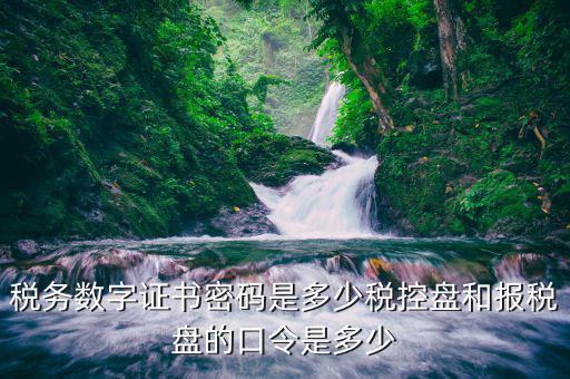 稅控盤稅務(wù)數(shù)字證書密碼是什么，稅控證書密碼是多少只有可能是8位嗎