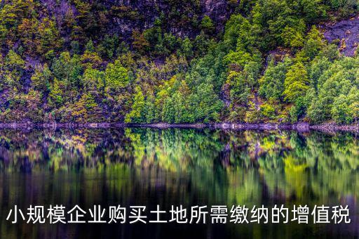 公司購(gòu)買(mǎi)土地需要交什么稅，小規(guī)模企業(yè)購(gòu)買(mǎi)土地所需繳納的增值稅