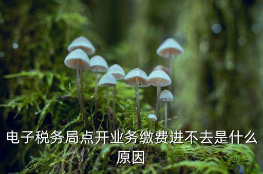 為什么江蘇省電子稅務(wù)局進(jìn)不去，請(qǐng)問電子稅務(wù)局登不上去怎么回事