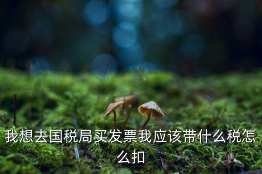 去國稅局扣稅需帶什么，我想去國稅局買發(fā)票我應(yīng)該帶什么稅怎么扣