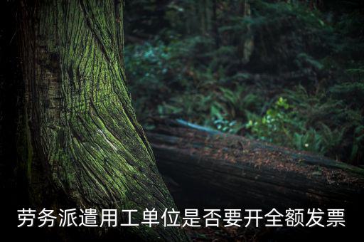 勞務派遣開什么票，勞務派遣小時工發(fā)票怎么開