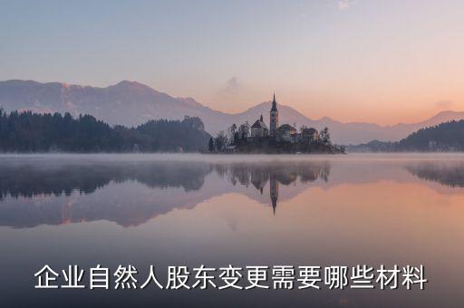 變更自然人登記業(yè)務(wù)需要帶什么，企業(yè)自然人股東變更需要哪些材料