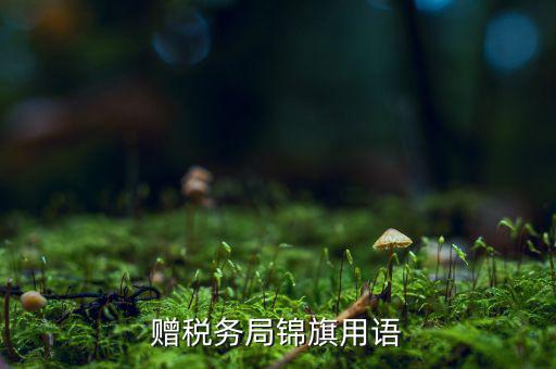 送錦旗給稅局可以寫什么內(nèi)容，贈稅務(wù)局錦旗用語