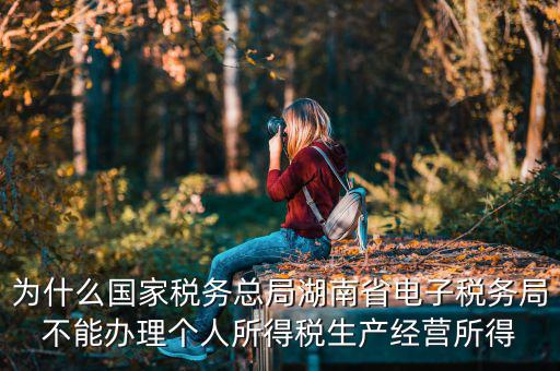 電子稅務(wù)局里面為什么沒(méi)有個(gè)稅，個(gè)人所得稅查不到怎么回事