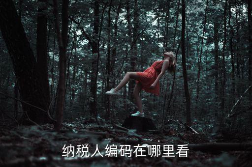 地稅稅源編號是什么，建筑業(yè)地稅稅源編號指的是啥