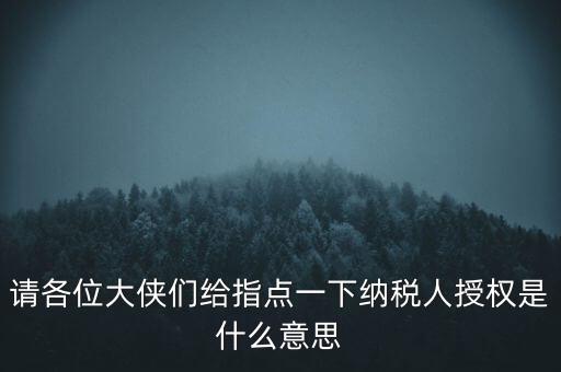 納稅人獲得感是什么意思，請(qǐng)各位大俠們給指點(diǎn)一下納稅人授權(quán)是什么意思
