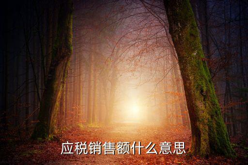 稅務(wù)銷售額是什么意思，年應(yīng)稅銷售額是什么意思