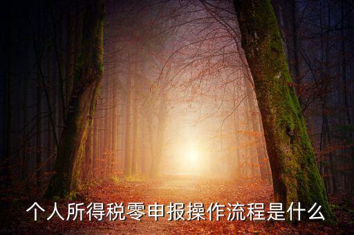 扣繳稅款登記主要流程是什么，納稅流程是怎樣的