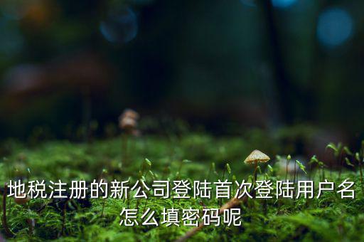 河北省地稅注冊用戶名是什么，稅務(wù)用戶名是什么啊