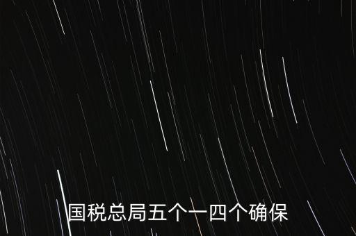 稅務(wù)局五個一是什么時候，國稅總局五個一四個確保