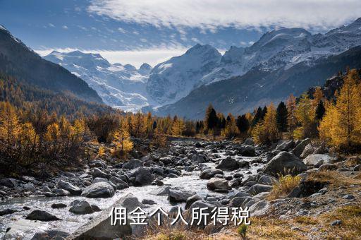 傭金繳納什么稅，傭金個人所得稅