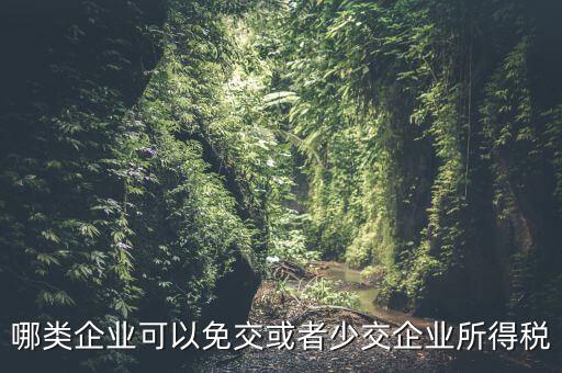 什么情況下企業(yè)可以減免稅收，哪類企業(yè)可以免交或者少交企業(yè)所得稅