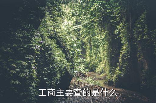 工商查賬一般是查什么，請(qǐng)問(wèn)工商局查帳會(huì)查些什么問(wèn)題