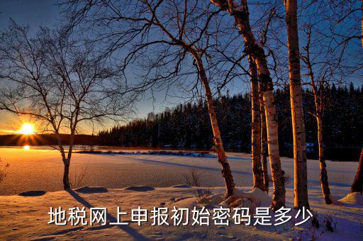 地稅網(wǎng)上申報初始密碼是多少