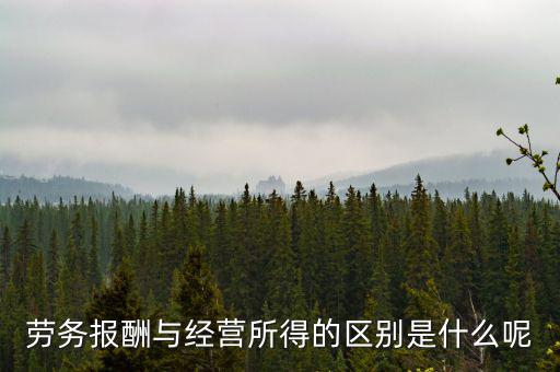 什么是經(jīng)營所得，個(gè)體工商戶的生產(chǎn)經(jīng)營所得是指什么