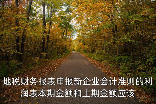 地稅利潤(rùn)表的上期金額指什么，新會(huì)計(jì)制度下利潤(rùn)表中本期金額和上期金額是什么意思