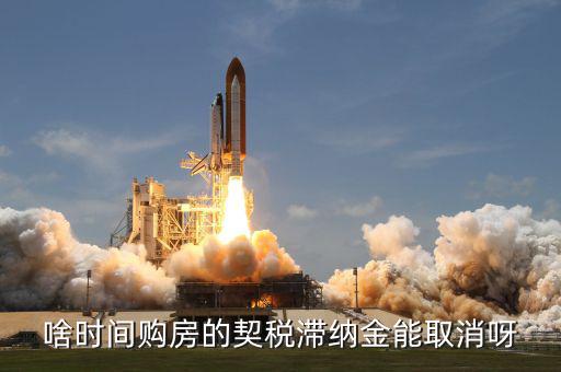 契稅什么時(shí)候扣掉，國(guó)稅和地稅繳稅期限是什么時(shí)候