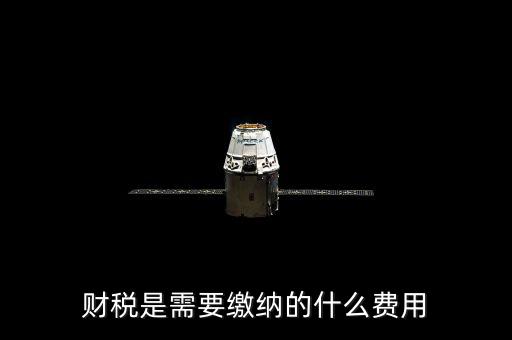 財(cái)稅費(fèi)是什么，財(cái)稅是需要繳納的什么費(fèi)用