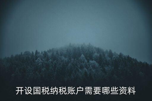 開國(guó)稅都需要帶什么資料，開設(shè)國(guó)稅納稅賬戶需要哪些資料
