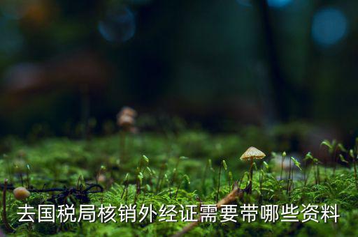 核銷外經(jīng)證地稅那做什么，去國稅局核銷外經(jīng)證需要帶哪些資料