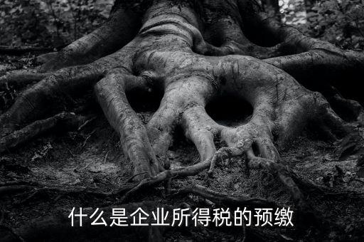 什么是預(yù)交企業(yè)所得稅，什么是企業(yè)所得稅的預(yù)繳
