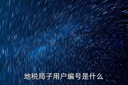 地稅網(wǎng)用戶 子賬戶是指什么，地稅的用戶名是什么