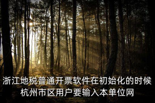 浙江網(wǎng)上稅務(wù)局的注冊碼是什么，浙江地稅因特網(wǎng)辦稅服務(wù)系統(tǒng)注冊碼過期