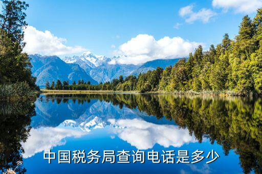 福建國(guó)稅查找打什么電話，國(guó)稅電話