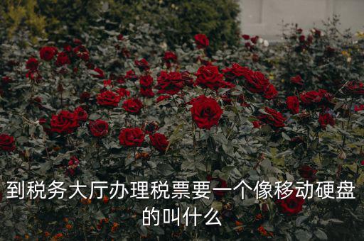稅務(wù)磁盤(pán)什么樣，我要正確的答案