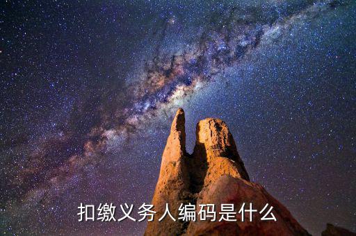 個(gè)稅系統(tǒng)扣繳義務(wù)人編碼是什么，扣繳義務(wù)人編碼是什么
