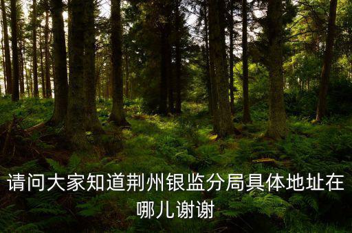 荊州稅務(wù)局在什么地方，請(qǐng)問大家知道荊州銀監(jiān)分局具體地址在哪兒謝謝