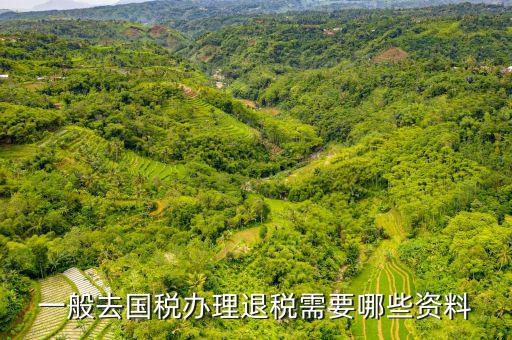 稅務局退稅要什么手續(xù)，一般去國稅辦理退稅需要哪些資料