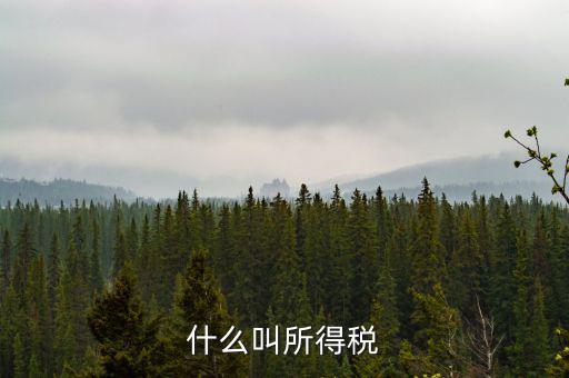 居民企業(yè)所得稅是什么，居民企業(yè)所得稅月度預繳納稅申報收入指什么時候的