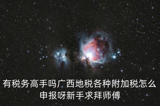 廣西地稅每個月要申報什么內(nèi)容，有稅務(wù)高手嗎廣西地稅各種附加稅怎么申報呀新手求拜師傅