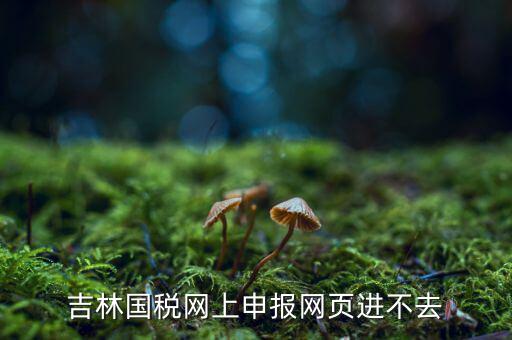 吉林省國稅上不去為什么，吉林省國家稅務(wù)局晚上申報 無法安全登陸