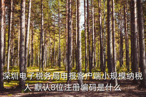 深圳納稅人編號(hào)是什么，什么是深圳市國稅百元開頭發(fā)票的納稅人識(shí)別號(hào)