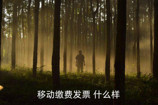 移動電子發(fā)票什么樣，移動繳費(fèi)發(fā)票 什么樣