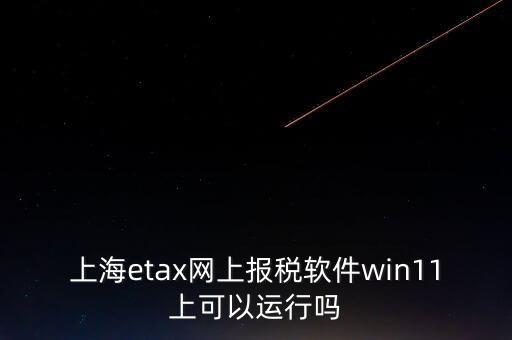 上海網(wǎng)上報(bào)稅什么軟件，上海etax網(wǎng)上報(bào)稅軟件win11上可以運(yùn)行嗎