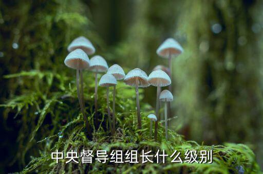 稅務(wù)督導(dǎo)組組長(zhǎng)什么級(jí)別，縣委縣政府督察組組長(zhǎng)行政級(jí)別具體工作是什么