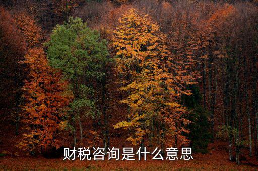 深圳稅務(wù)納稅咨詢平臺是什么意思，財(cái)稅咨詢是什么意思