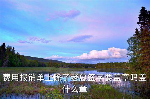 報(bào)銷單據(jù)里面蓋什么章，報(bào)銷入院記錄要蓋什么章