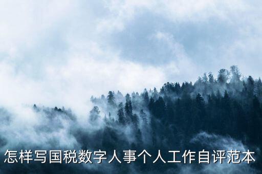 國稅數(shù)字人事是什么，專業(yè)的除了可以考會計證和證券從業(yè)資格證以為還可以考什么證