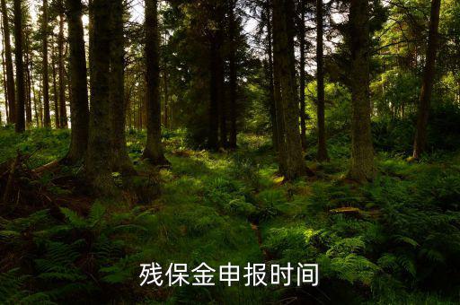 2016殘保金什么時候交，殘保金是一年一交嗎