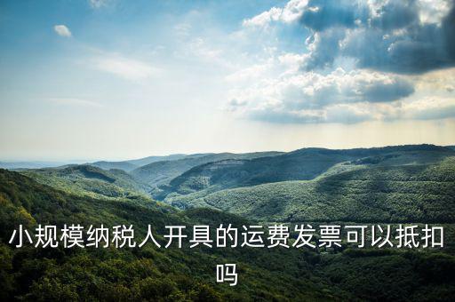 什么樣的運(yùn)費(fèi)票可以抵，運(yùn)輸費(fèi)增值稅都能用什么票抵扣