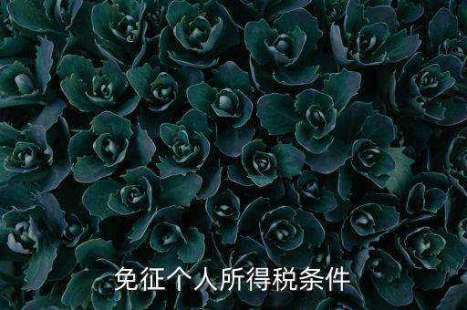 四業(yè)免征個人所得稅有什么要求，個人所得稅減免稅有哪些要求