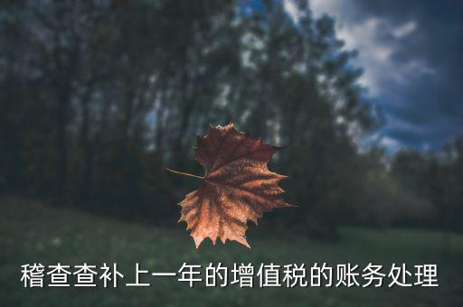 稽查補什么稅，請問被國稅局稽查局查處補交增值稅所得稅及滯納金計入應(yīng)哪個科目