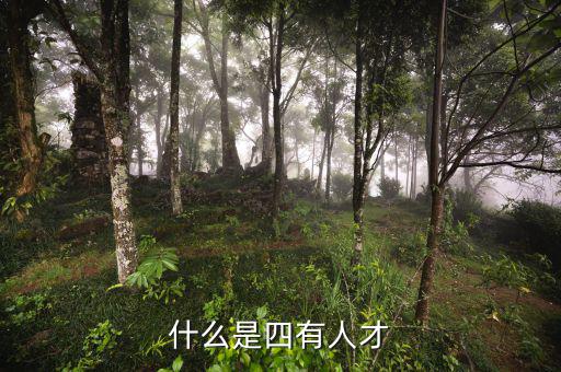 四類人才標兵是什么，什么是四有人才