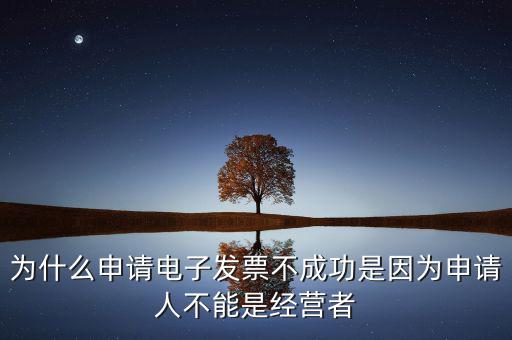 發(fā)票網(wǎng)上申領(lǐng)失敗什么原因，電子發(fā)票網(wǎng)上申領(lǐng)結(jié)果是2