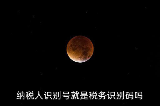 稅務(wù)標(biāo)識(shí)符是什么意思，納稅人識(shí)別碼是什么
